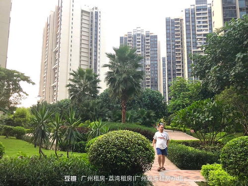 探索傳統中介整租 非自如、非蛋殼的租房之路