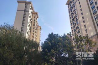深入解讀 東方帕堤歐公寓住宅的優劣與周邊經紀人評價